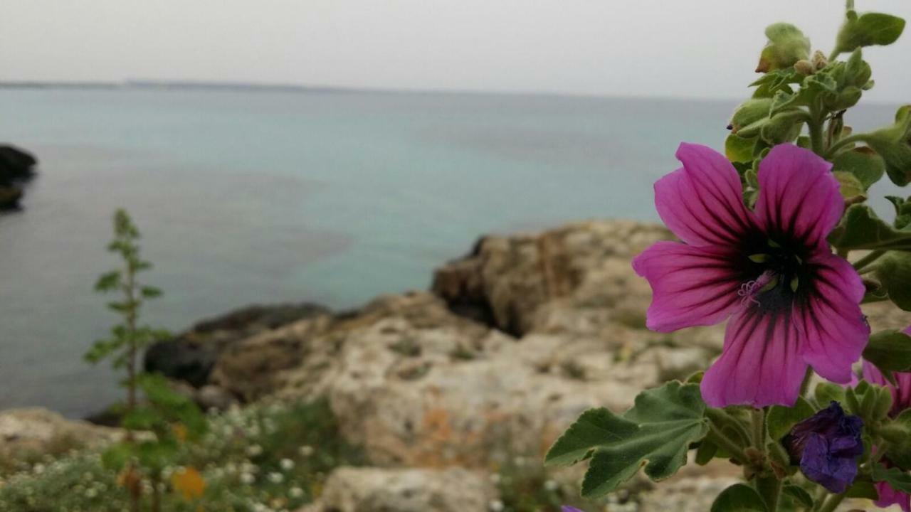 Vila 252 Via Udine Gallipoli Exteriér fotografie